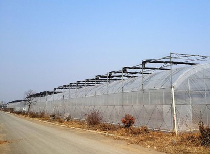 連棟薄膜溫室