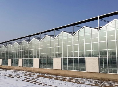 生態(tài)智能溫室