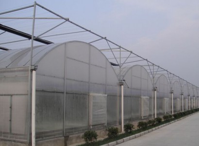 連棟薄膜溫室